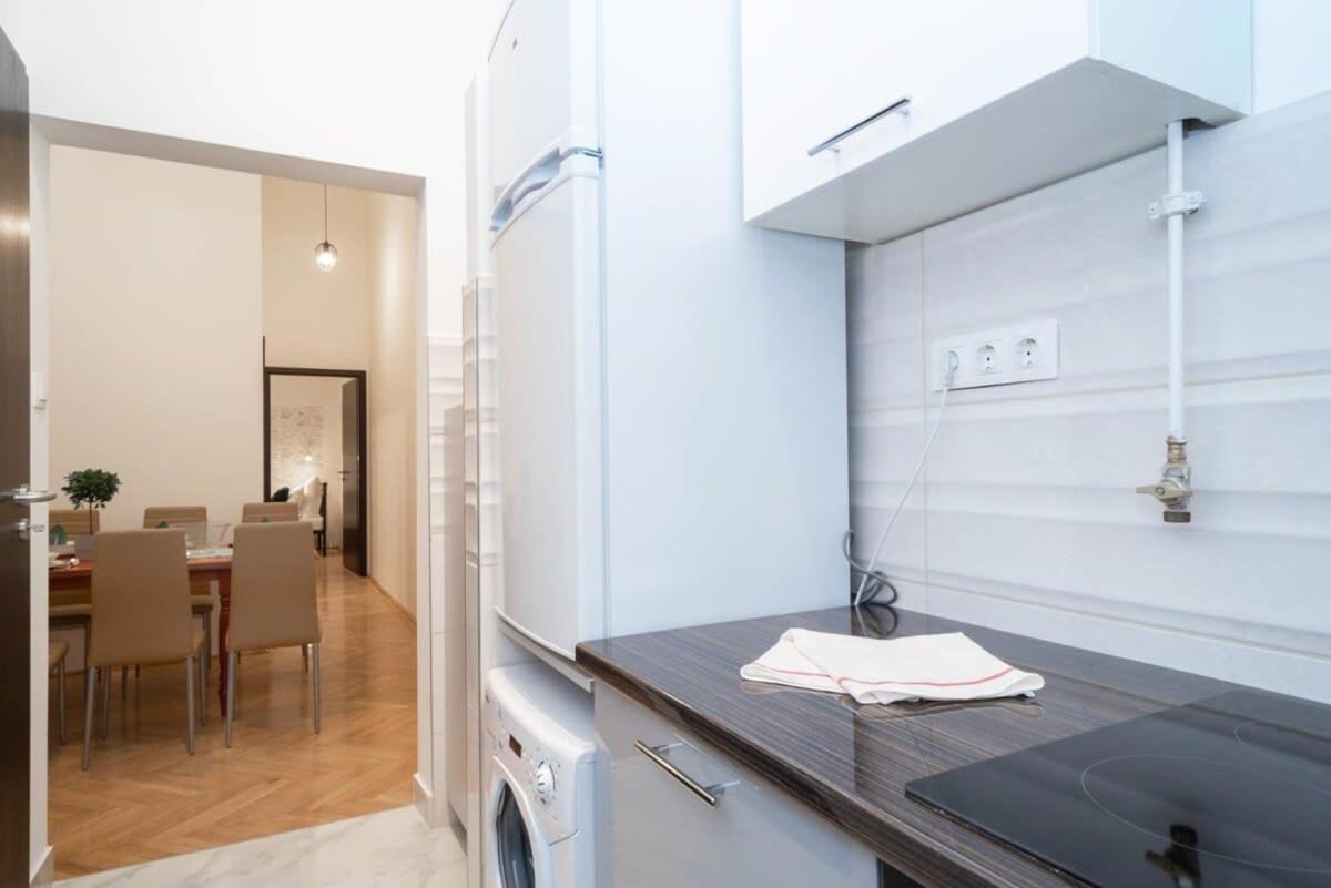 Ultra Large Stylish Apartament